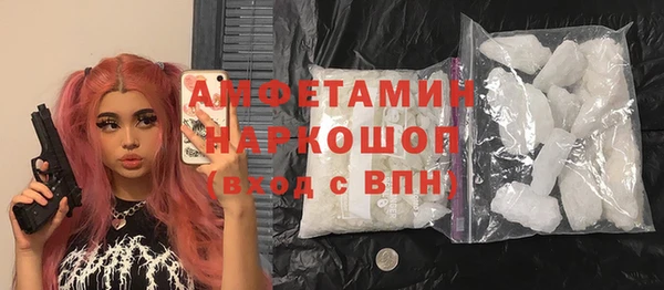 хмурый Алексин