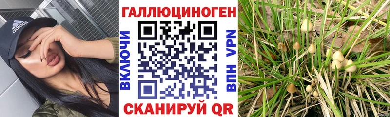 Псилоцибиновые грибы мицелий  сайты даркнета как зайти  Межгорье  дарнет шоп 
